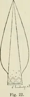 An illustration from Revue archéologique (1844)