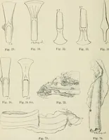 An illustration from Revue archéologique (1844)