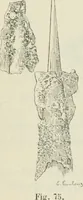 An illustration from Revue archéologique (1844)