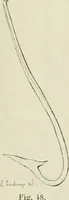 An illustration from Revue archéologique (1844)