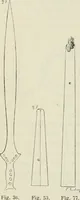 An illustration from Revue archéologique (1844)