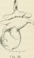 An illustration from Revue archéologique (1844)