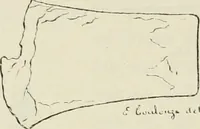 An illustration from Revue archéologique (1844)