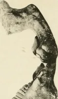 An illustration from Revue archéologique (1844)