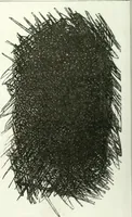 Picture 311 of 548 from Revue comique à l'usage des gens sérieux (1848), leaf 317