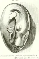 Picture 24 of 548 from Revue comique à l'usage des gens sérieux (1848), leaf 39