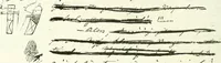 An illustration from Revue comique à l'usage des gens sérieux (1848)