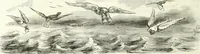 An illustration from Revue comique à l'usage des gens sérieux (1848)