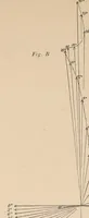 Picture 5 of 11 from Revue de l'aéronautique théorique et appliquée (1888), leaf 25