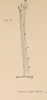 Picture 6 of 11 from Revue de l'aéronautique théorique et appliquée (1888), leaf 26