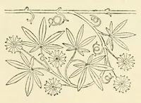 An illustration from Revue de l'art chrétien (1857)