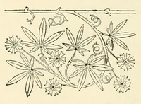Picture 11 of 35 from Revue de l'art chrétien (1857), leaf 312