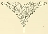 An illustration from Revue de l'art chrétien (1857)