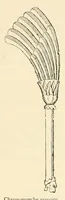 Picture 20 of 35 from Revue de l'art chrétien (1857), leaf 528