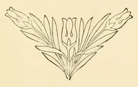 An illustration from Revue de l'art chrétien (1857)