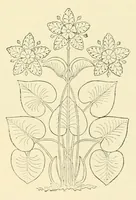 An illustration from Revue de l'art chrétien (1857)