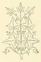 An illustration from Revue de l'art chrétien (1857)