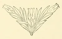 Picture 15 of 37 from Revue de l'art chrétien (1857), leaf 268