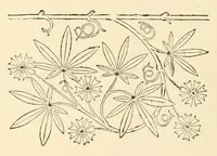 An illustration from Revue de l'art chrétien (1857)