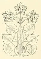 An illustration from Revue de l'art chrétien (1857)
