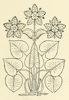 An illustration from Revue de l'art chrétien (1857)