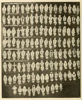Picture 28 of 35 from Revue de l'art chrétien (1857), leaf 418