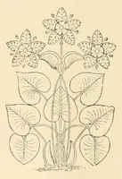 Picture 3 of 34 from Revue de l'art chrétien (1857), leaf 90