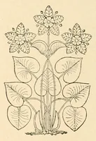 An illustration from Revue de l'art chrétien (1857)