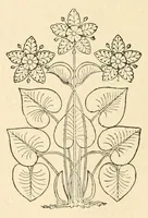 An illustration from Revue de l'art chrétien (1857)