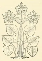 An illustration from Revue de l'art chrétien (1857)