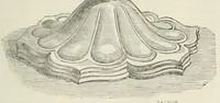 An illustration from Revue de l'art chrétien (1857)