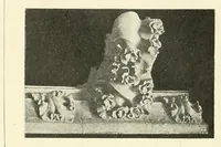 An illustration from Revue de l'art chrétien (1857)