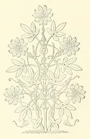 An illustration from Revue de l'art chrétien (1857)