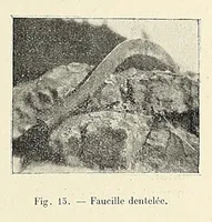 Picture 12 of 15 from Revue d'ethnographie et de sociologie (1910), leaf 119