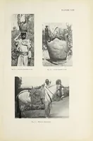 Picture 14 of 15 from Revue d'ethnographie et de sociologie (1910), leaf 131