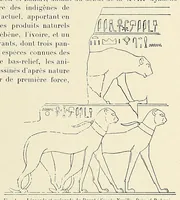 An illustration from Revue d'ethnographie et de sociologie (1910)