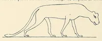 An illustration from Revue d'ethnographie et de sociologie (1910)