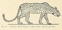 An illustration from Revue d'ethnographie et de sociologie (1910)
