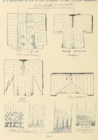 An illustration from Revue d'ethnographie et de sociologie (1910)