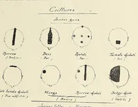 Picture 8 of 18 from Revue d'ethnographie et de sociologie (1910), leaf 41