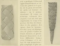 An illustration from Revue d'ethnographie et de sociologie (1910)