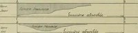 Picture 45 of 117 from Revue générale des mati`eres colorantes et des industries qui s'y rattachent (1908), leaf 213