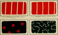 Picture 2 of 117 from Revue générale des mati`eres colorantes et des industries qui s'y rattachent (1908), leaf 32