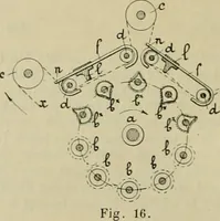 Picture 18 of 117 from Revue générale des mati`eres colorantes et des industries qui s'y rattachent (1908), leaf 55