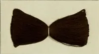 An illustration from Revue générale des mati`eres colorantes et des industries qui s'y rattachent (1908)