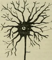 An illustration from Revue générale des mati`eres colorantes et des industries qui s'y rattachent (1908)
