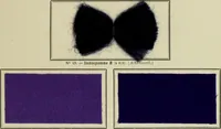 Picture 62 of 111 from Revue générale des mati`eres colorantes et des industries qui s'y rattachent (1908), leaf 198