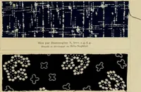 Picture 26 of 112 from Revue générale des mati`eres colorantes et des industries qui s'y rattachent (1908), leaf 76