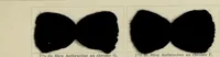 Picture 36 of 164 from Revue générale des mati`eres colorantes et des industries qui s'y rattachent (1908), leaf 112