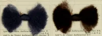 Picture 37 of 164 from Revue générale des mati`eres colorantes et des industries qui s'y rattachent (1908), leaf 112